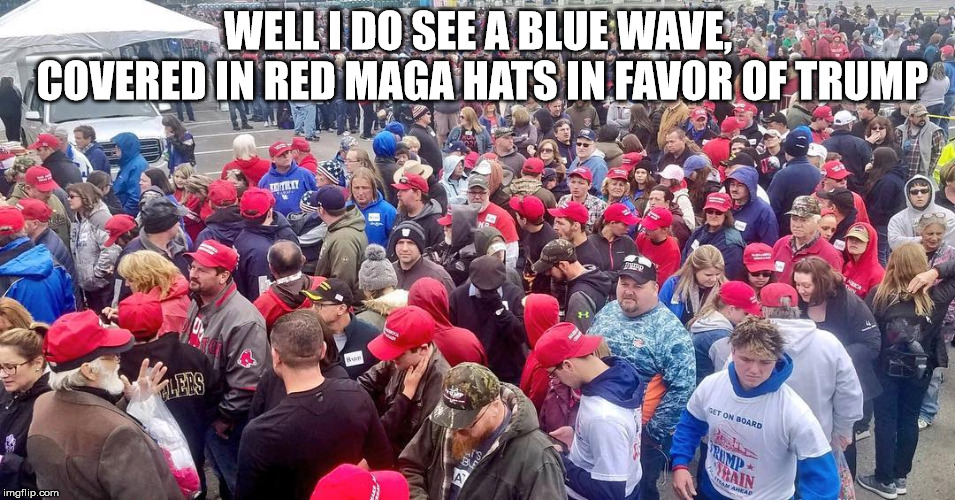 WELL I DO SEE A BLUE WAVE, COVERED IN RED MAGA HATS IN FAVOR OF TRUMP | made w/ Imgflip meme maker
