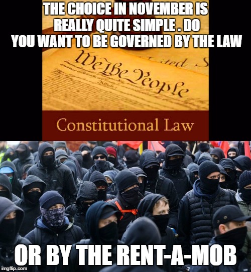 I like the constitution. Rent a mob needs to spend some time at the graybar hotel. | THE CHOICE IN NOVEMBER IS REALLY QUITE SIMPLE . DO YOU WANT TO BE GOVERNED BY THE LAW; OR BY THE RENT-A-MOB | image tagged in antifa,us constitution,law,random,election 2018 | made w/ Imgflip meme maker