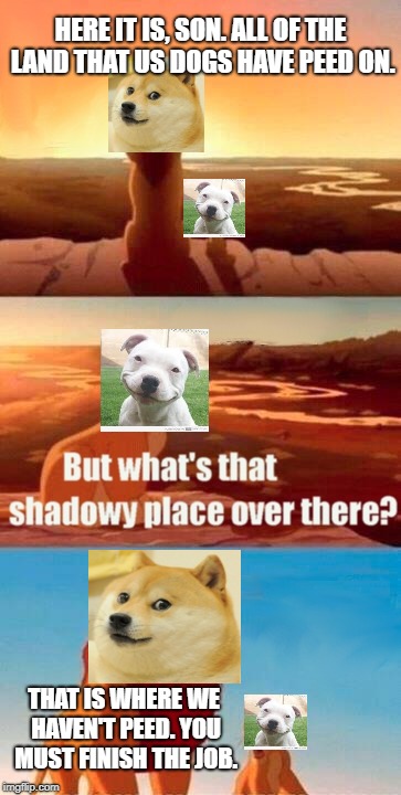 Simba Shadowy Place | HERE IT IS, SON. ALL OF THE LAND THAT US DOGS HAVE PEED ON. THAT IS WHERE WE HAVEN'T PEED. YOU MUST FINISH THE JOB. | image tagged in memes,simba shadowy place | made w/ Imgflip meme maker