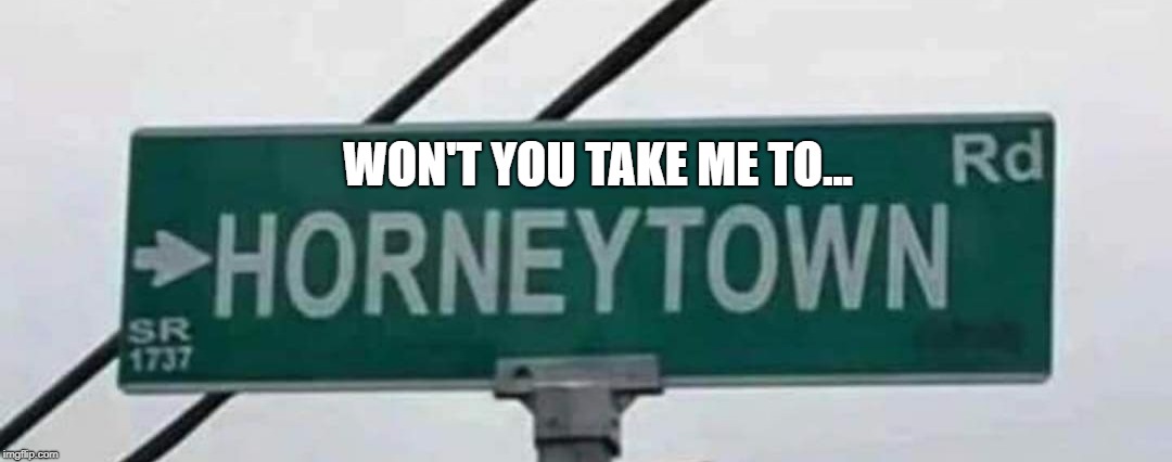 Admit it...You sang it after you read it. Didn't you? | WON'T YOU TAKE ME TO... | image tagged in memes,funny street signs,street signs,funny road signs | made w/ Imgflip meme maker