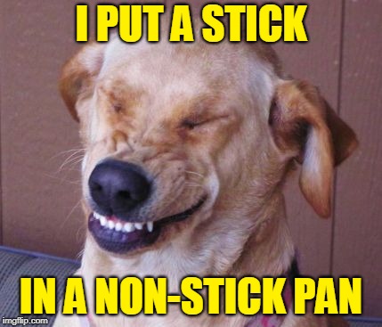 Stick It to the Pan! | I PUT A STICK; IN A NON-STICK PAN | image tagged in dog laugh,memes,best,classic,repost,cooking | made w/ Imgflip meme maker