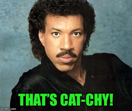 Lionel Richie Hello | THAT’S CAT-CHY! | image tagged in lionel richie hello | made w/ Imgflip meme maker