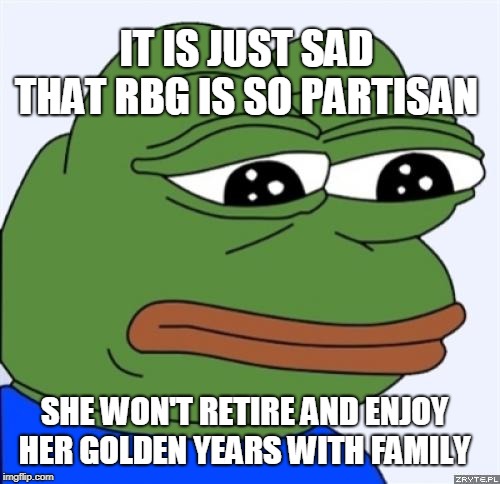 sad frog | IT IS JUST SAD THAT RBG IS SO PARTISAN SHE WON'T RETIRE AND ENJOY HER GOLDEN YEARS WITH FAMILY | image tagged in sad frog | made w/ Imgflip meme maker