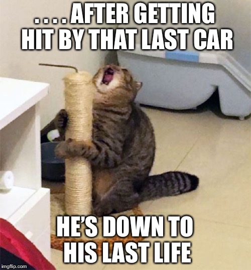 Over Dramatic Cat | . . . . AFTER GETTING HIT BY THAT LAST CAR; HE’S DOWN TO HIS LAST LIFE | image tagged in over dramatic cat | made w/ Imgflip meme maker