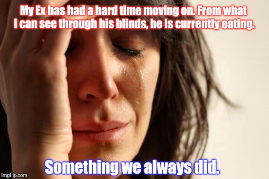 First World break ups | My Ex has had a hard time moving on. From what I can see through his blinds, he is currently eating. Something we always did. | image tagged in memes,first world problems | made w/ Imgflip meme maker