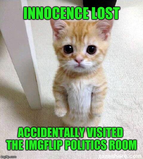 What has been seen, cannot be unseen. |  INNOCENCE LOST; ACCIDENTALLY VISITED THE IMGFLIP POLITICS ROOM | image tagged in memes,cute cat,politics,imgflip,new rules | made w/ Imgflip meme maker