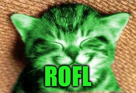 happy RayCat | ROFL | image tagged in happy raycat | made w/ Imgflip meme maker
