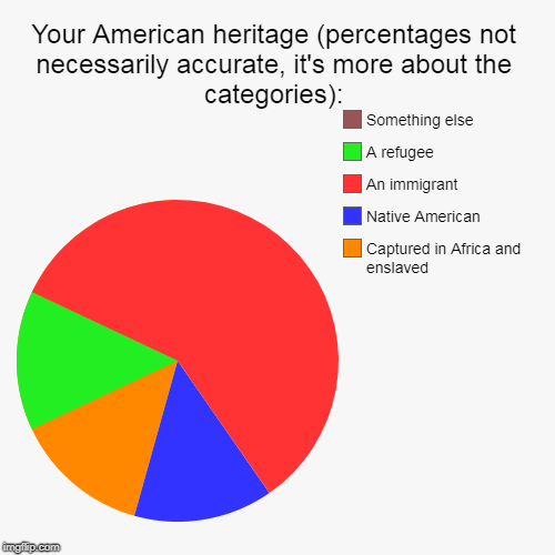 Your American heritage (percentages not necessarily accurate, it's more about the categories): | Captured in Africa and enslaved, Native Ame | image tagged in funny,pie charts | made w/ Imgflip chart maker