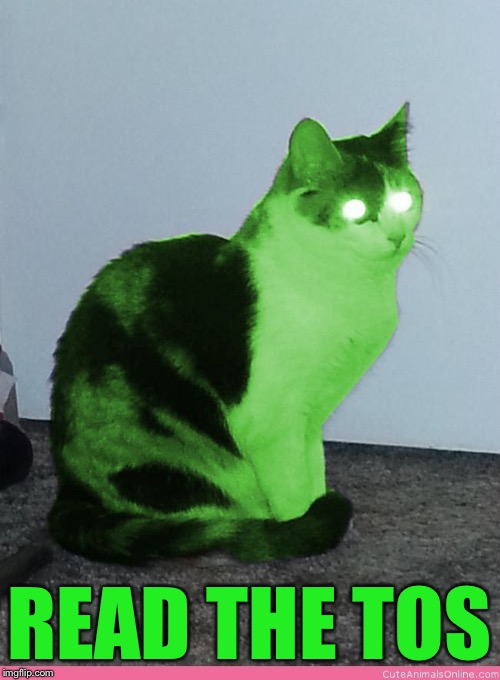 Hypno Raycat | READ THE TOS | image tagged in hypno raycat | made w/ Imgflip meme maker