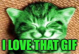 happy RayCat | I LOVE THAT GIF | image tagged in happy raycat | made w/ Imgflip meme maker