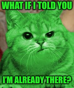 RayCat Annoyed | WHAT IF I TOLD YOU I’M ALREADY THERE? | image tagged in raycat annoyed | made w/ Imgflip meme maker