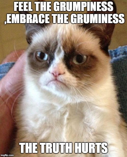 Grumpy Cat | FEEL THE GRUMPINESS ,EMBRACE THE GRUMINESS; THE TRUTH HURTS | image tagged in memes,grumpy cat | made w/ Imgflip meme maker