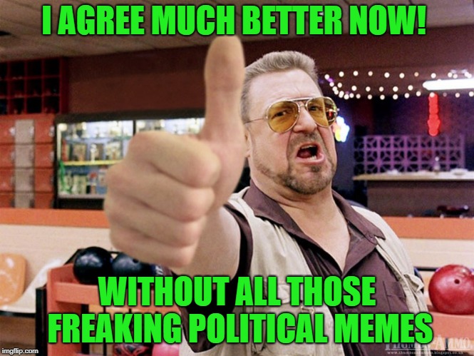 thumbs up | I AGREE MUCH BETTER NOW! WITHOUT ALL THOSE FREAKING POLITICAL MEMES | image tagged in thumbs up | made w/ Imgflip meme maker
