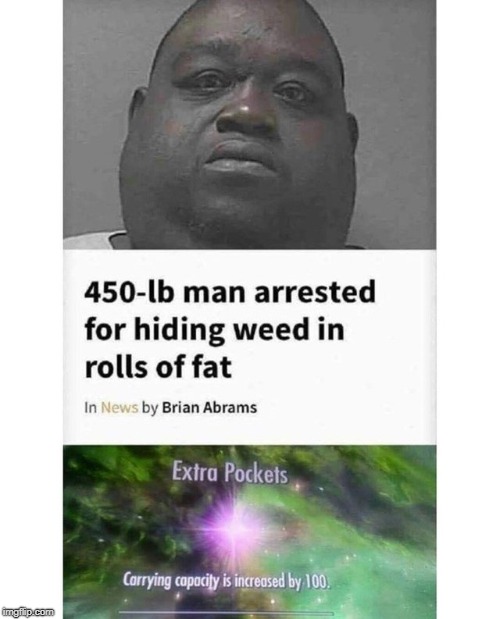 genius | image tagged in fat guy,weed,100 | made w/ Imgflip meme maker