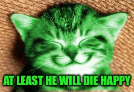 happy RayCat | AT LEAST HE WILL DIE HAPPY | image tagged in happy raycat | made w/ Imgflip meme maker