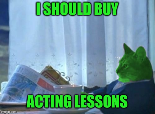 I Should Buy a Boat RayCat | I SHOULD BUY ACTING LESSONS | image tagged in i should buy a boat raycat | made w/ Imgflip meme maker