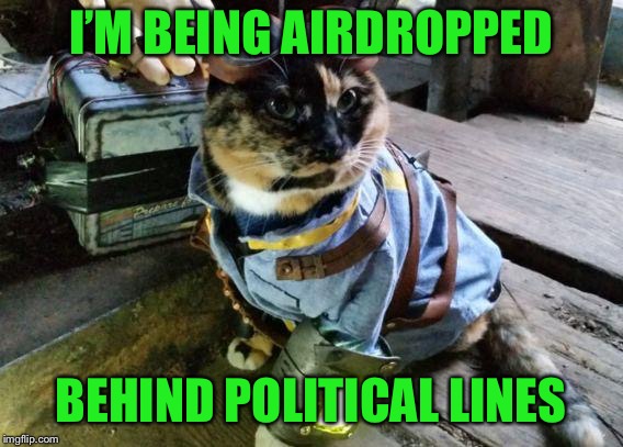 Fallout RayCat | I’M BEING AIRDROPPED BEHIND POLITICAL LINES | image tagged in fallout raycat | made w/ Imgflip meme maker