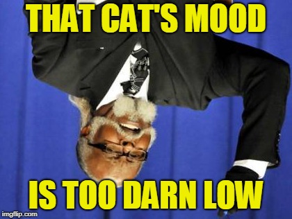 THAT CAT'S MOOD IS TOO DARN LOW | made w/ Imgflip meme maker