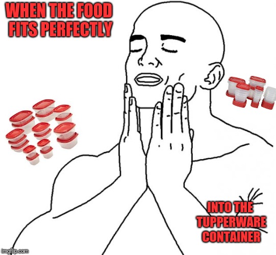 Feels Good Man | WHEN THE FOOD FITS PERFECTLY; INTO THE TUPPERWARE CONTAINER | image tagged in feels good man,memes,tupperware,ilikepie314159265358979 | made w/ Imgflip meme maker