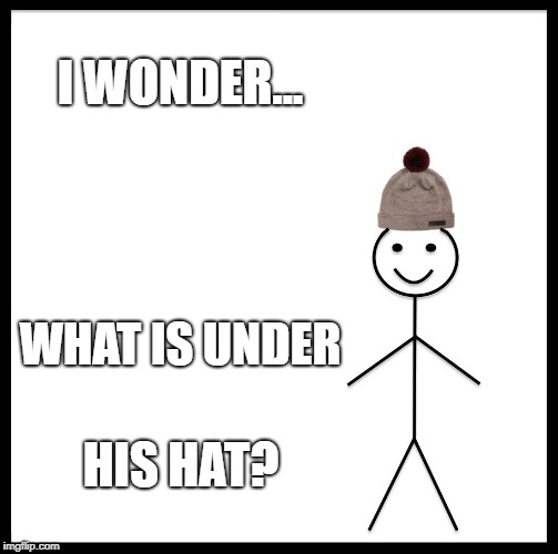 Be Like Bill Meme | I WONDER... WHAT IS UNDER; HIS HAT? | image tagged in memes,be like bill | made w/ Imgflip meme maker