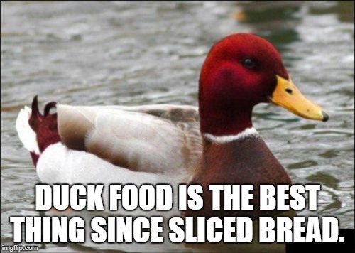 Malicious Advice Mallard Meme | DUCK FOOD IS THE BEST THING SINCE SLICED BREAD. | image tagged in memes,malicious advice mallard | made w/ Imgflip meme maker