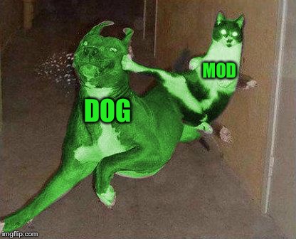 RayCat kicking RayDog | DOG MOD | image tagged in raycat kicking raydog | made w/ Imgflip meme maker