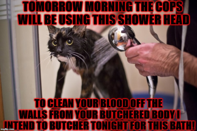 TOMORROW MORNING THE COPS WILL BE USING THIS SHOWER HEAD; TO CLEAN YOUR BLOOD OFF THE WALLS FROM YOUR BUTCHERED BODY I INTEND TO BUTCHER TONIGHT FOR THIS BATH! | image tagged in wet and angry | made w/ Imgflip meme maker