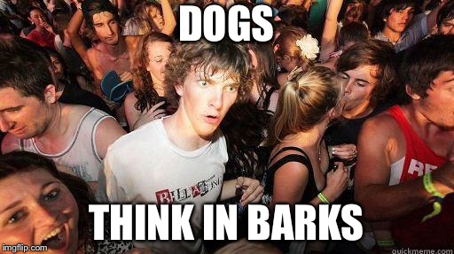 Sudden Realization | DOGS; THINK IN BARKS | image tagged in sudden realization | made w/ Imgflip meme maker