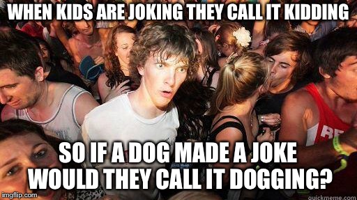 Sudden Realization | WHEN KIDS ARE JOKING THEY CALL IT KIDDING; SO IF A DOG MADE A JOKE WOULD THEY CALL IT DOGGING? | image tagged in sudden realization | made w/ Imgflip meme maker