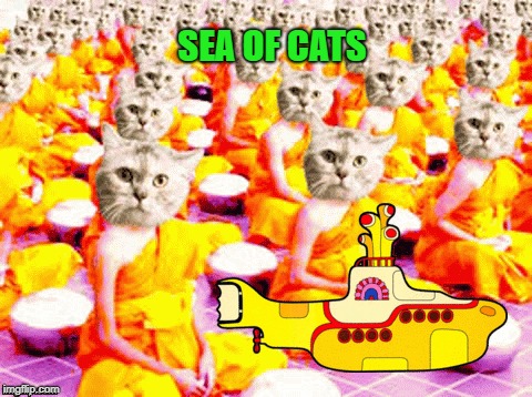 SEA OF CATS | image tagged in cats,the beatles,psychedelic,yellow submarine,enlightenment,much wow | made w/ Imgflip meme maker