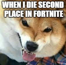 WHEN I DIE SECOND PLACE IN FORTNITE | image tagged in dog,meme,animals,funny memes,funny | made w/ Imgflip meme maker