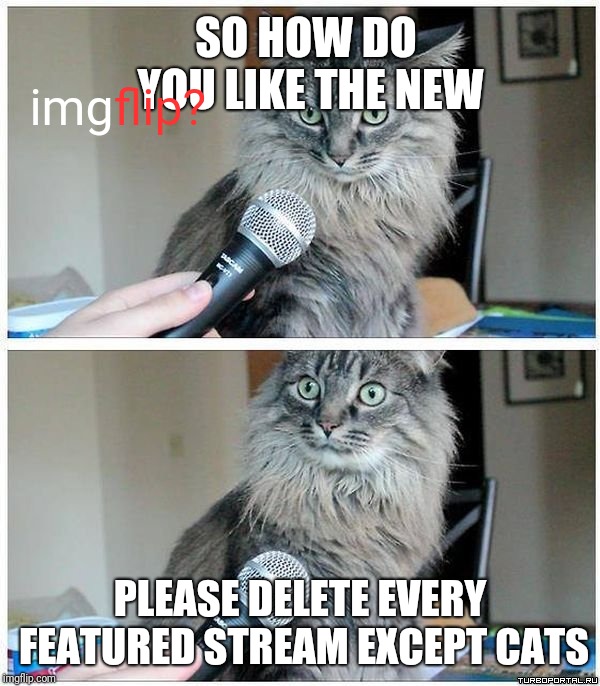 Cat interview high res | SO HOW DO YOU LIKE THE NEW PLEASE DELETE EVERY FEATURED STREAM EXCEPT CATS img flip? | image tagged in cat interview high res | made w/ Imgflip meme maker