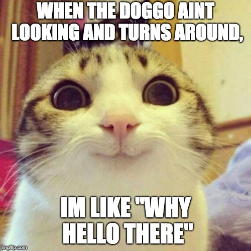 Smiling Cat | WHEN THE DOGGO AINT LOOKING AND TURNS AROUND, IM LIKE "WHY HELLO THERE" | image tagged in memes,smiling cat | made w/ Imgflip meme maker