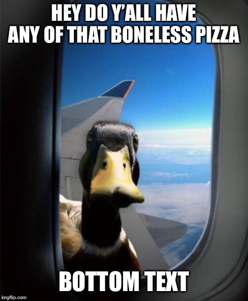 Duck on plane wing | HEY DO Y’ALL HAVE ANY OF THAT BONELESS PIZZA; BOTTOM TEXT | image tagged in duck on plane wing | made w/ Imgflip meme maker