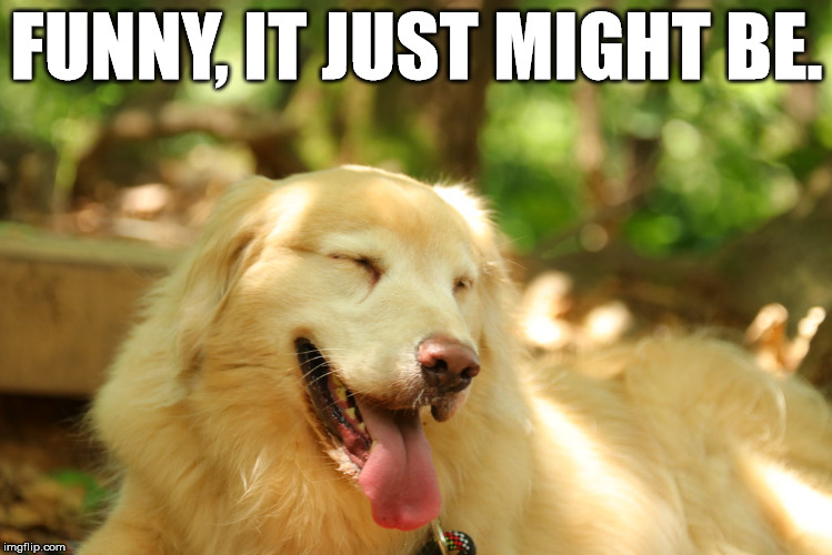 Dog laughing | FUNNY, IT JUST MIGHT BE. | image tagged in dog laughing | made w/ Imgflip meme maker