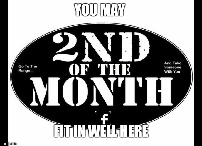 2nd of the Month | YOU MAY FIT IN WELL HERE | image tagged in 2nd of the month | made w/ Imgflip meme maker