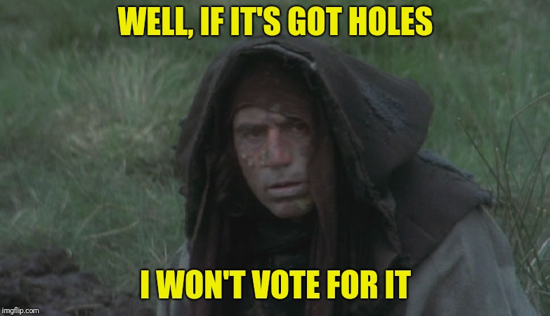 WELL, IF IT'S GOT HOLES I WON'T VOTE FOR IT | made w/ Imgflip meme maker