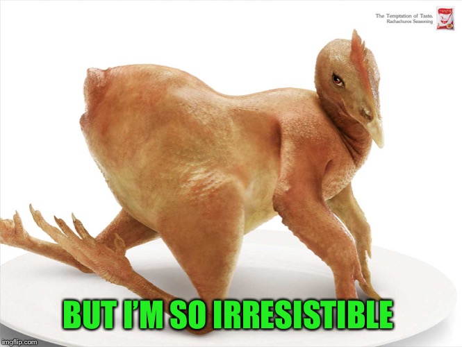 Sexy Chicken Posing | BUT I’M SO IRRESISTIBLE | image tagged in sexy chicken posing | made w/ Imgflip meme maker