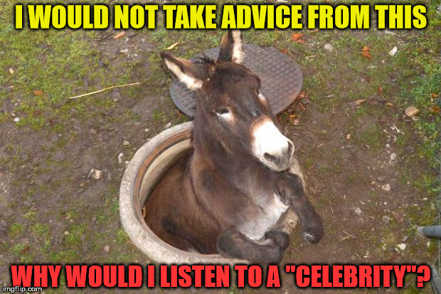 A hole in a hole? | I WOULD NOT TAKE ADVICE FROM THIS; WHY WOULD I LISTEN TO A "CELEBRITY"? | image tagged in asshole,celebrity,politics | made w/ Imgflip meme maker