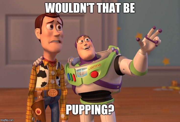 X, X Everywhere Meme | WOULDN'T THAT BE PUPPING? | image tagged in memes,x x everywhere | made w/ Imgflip meme maker