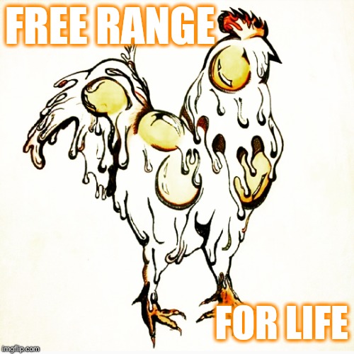 Free Range Eggs on the Run | FREE RANGE; FOR LIFE | image tagged in chicken,anti joke chicken,yummy,eggs,memes,chicks | made w/ Imgflip meme maker