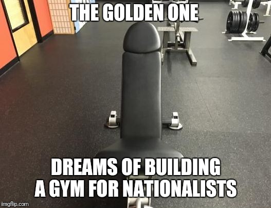 gay gym | THE GOLDEN ONE; DREAMS OF BUILDING A GYM FOR NATIONALISTS | image tagged in gay gym | made w/ Imgflip meme maker