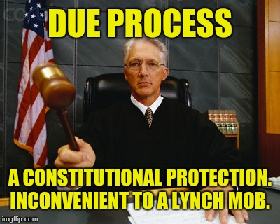 Politics should never have a place in a courtroom. |  DUE PROCESS; A CONSTITUTIONAL PROTECTION. INCONVENIENT TO A LYNCH MOB. | image tagged in judge,memes,us constitution,witch hunt,lynch mob,social justice warrior | made w/ Imgflip meme maker