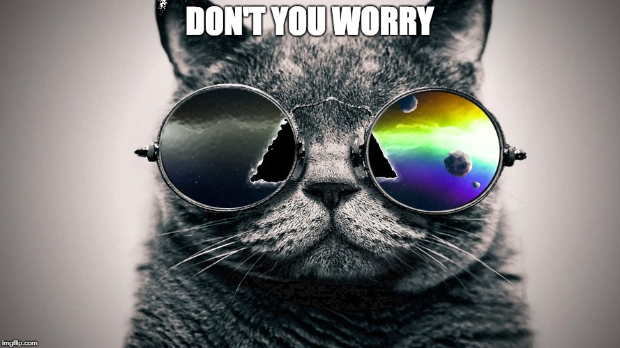 Cool Cat | DON'T YOU WORRY | image tagged in cool cat | made w/ Imgflip meme maker
