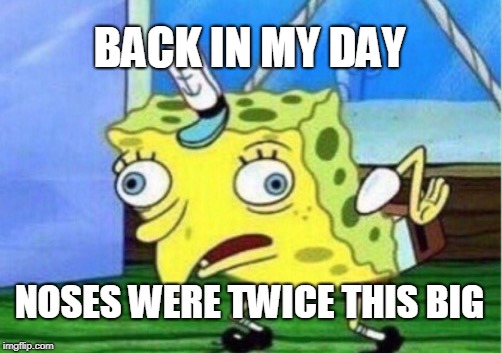 Mocking Spongebob | BACK IN MY DAY; NOSES WERE TWICE THIS BIG | image tagged in memes,mocking spongebob | made w/ Imgflip meme maker
