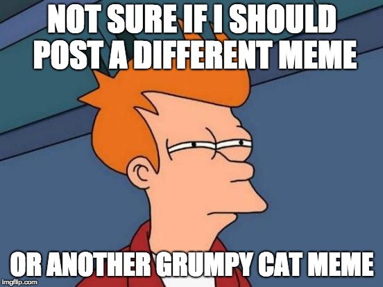 What pro memers are thinking about every day | NOT SURE IF I SHOULD POST A DIFFERENT MEME; OR ANOTHER GRUMPY CAT MEME | image tagged in memes,futurama fry,grumpy cat | made w/ Imgflip meme maker