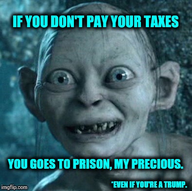 Precious Tax Fraud | IF YOU DON'T PAY YOUR TAXES; YOU GOES TO PRISON, MY PRECIOUS. *EVEN IF YOU'RE A TRUMP. | image tagged in memes,gollum,meme,fraud,lock him up,trump lies | made w/ Imgflip meme maker