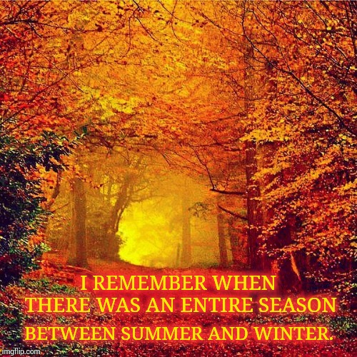 Those Were the Days My Friend. We Thought the Fun Would Never End. | I REMEMBER WHEN THERE WAS AN ENTIRE SEASON; BETWEEN SUMMER AND WINTER. | image tagged in autumn walk,memes,meme,seasons,right in the childhood,sunshine trees | made w/ Imgflip meme maker