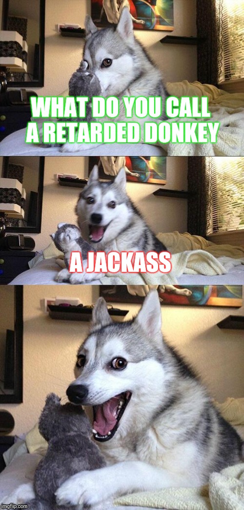 Bad pun dog | WHAT DO YOU CALL A RETARDED DONKEY; A JACKASS | image tagged in memes,bad pun dog | made w/ Imgflip meme maker