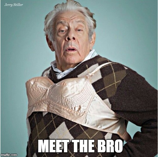 MEET THE BRO | image tagged in the bro | made w/ Imgflip meme maker